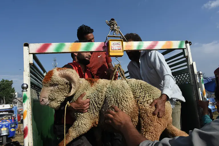 People-weigh-a-sheep-at-a-sacrificial-market-ahead-of-Eid-Ul-Adha-in-Srinagar-Indian-Administered-Kashmir-on-27-June-2023