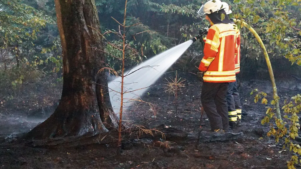 Die-Feuerwehr-ist-nach-Angaben-ihres-Verbands-in-Alarmbereitschaft