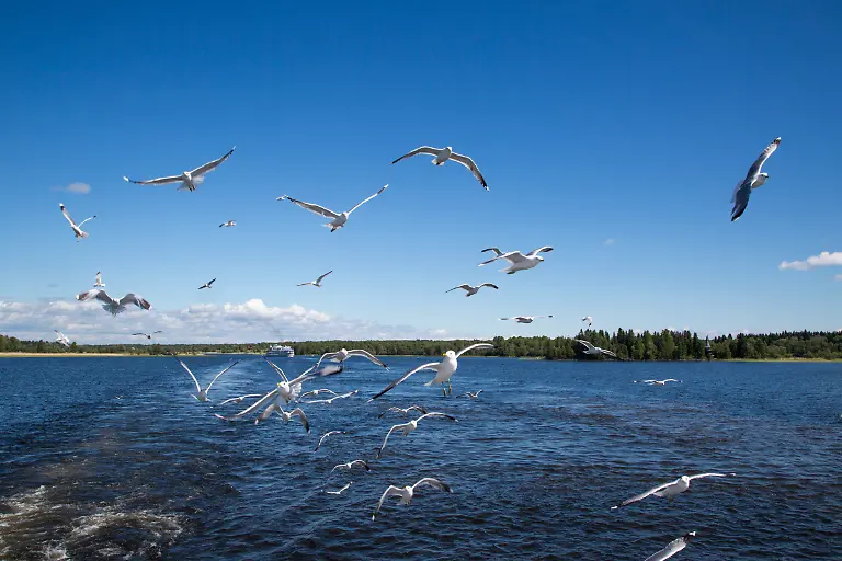 Bild-16-von-41-2013-06-16-107