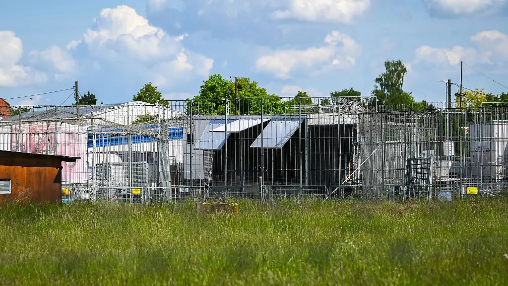Vor-knapp-zwei-Wochen-war-hier-ein-Tiger-aus-seinem-Gehege-entkommen-und-hatte-einen-Mann-schwer-verletzt