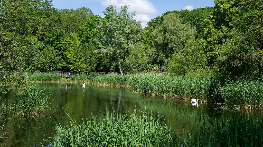 In-Berlin-und-Brandenburg-wird-es-am-Freitag-noch-einmal-sonnig