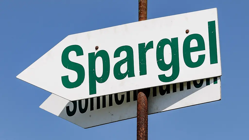 Der-meiste-Spargel-von-schleswig-holsteinischen-Feldern-wird-direkt-vermarktet