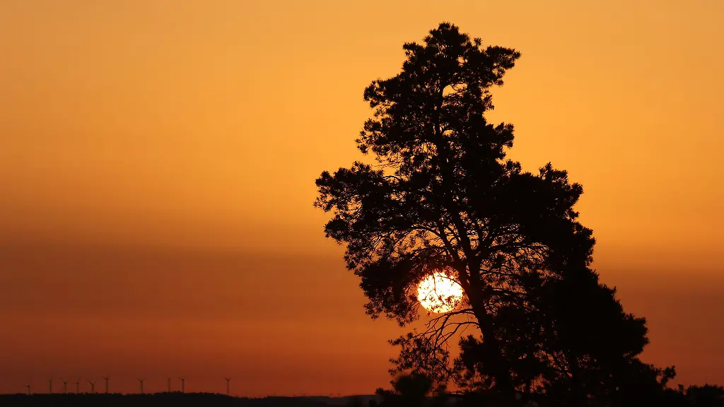 Das-Fruehjahr-2026-brachte-Sachsen-Anhalt-ungewoehnlich-viele-Sonnenstunden-und-ueberdurchschnittlich-milde-Temperaturen