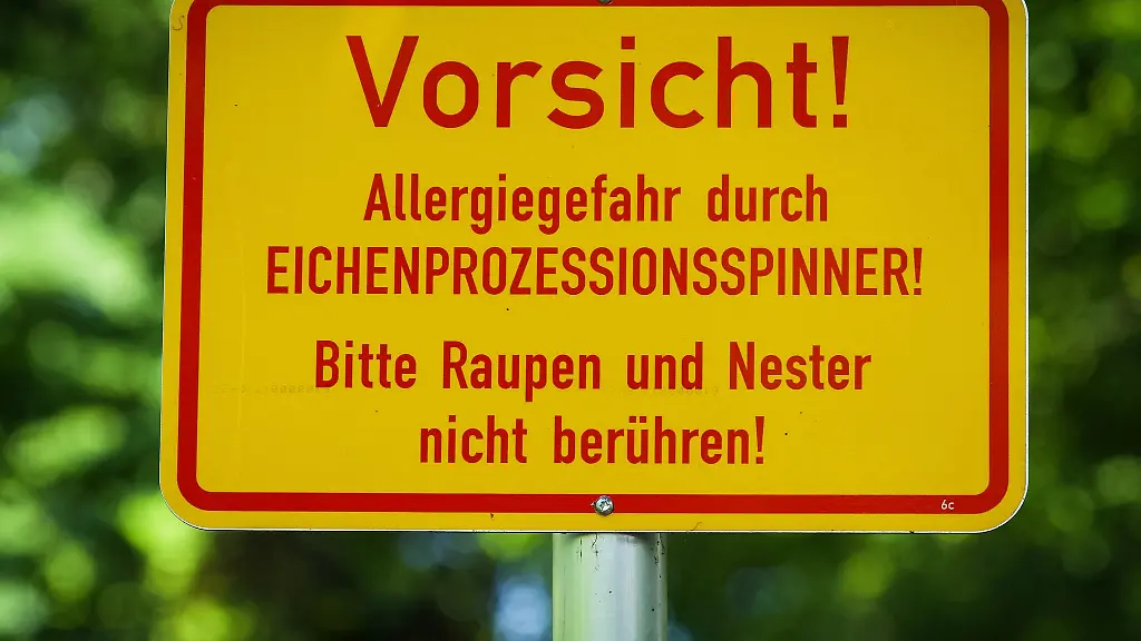 Der-Schaedling-breitet-sich-auch-in-Sachsen-aus
