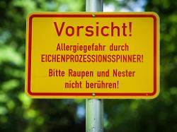 kein Bild