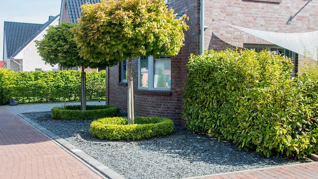 Dieser-fruehere-Schottergarten-in-Emden-wurde-2022-umgestaltet