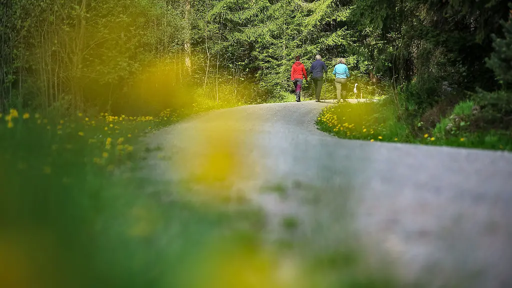 Wandern-ist-eine-beliebte-Freizeitbetaetigung-in-der-Natur-2027-ist-Reichenbach-im-Vogtland-Gastgeber-des-Saechsischen-Wandertages-vom-25-bis-27-Juni