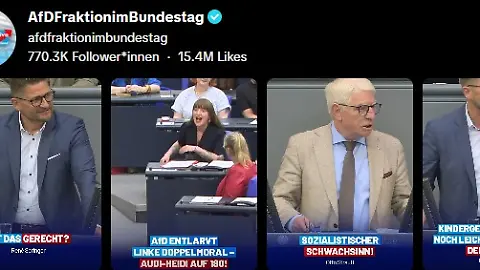 AfD_Tiktok