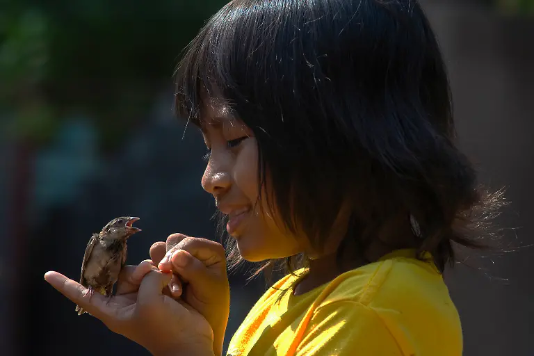 Young-girl-has-rescued-a-small-bird-that-had-fallen-into-the-water-The-little-bird-appears-to-be-expressing-gratitude-as-it-sits-on-her-hand-ready-to-fly-away-freely