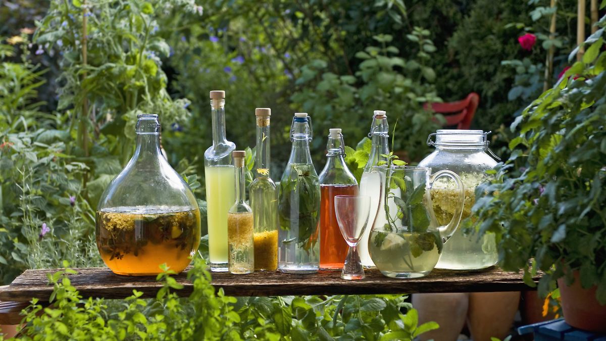 Aus-Wein-oder-Obstresten-Essig-selbst-herstellen-Mit-diesen-Tipps-klappt-es