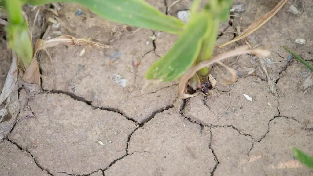 Risse-ziehen-sich-durch-die-Erde-eines-Ackers