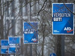 Partei hatte geklagt: Gericht erlaubt Beobachtung der hessischen AfD