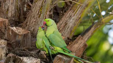 imago245775017