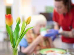 "Wird in Familien verschoben": Pflegerat sieht Warkens Pläne als Kurzfrist-Sparprogramm