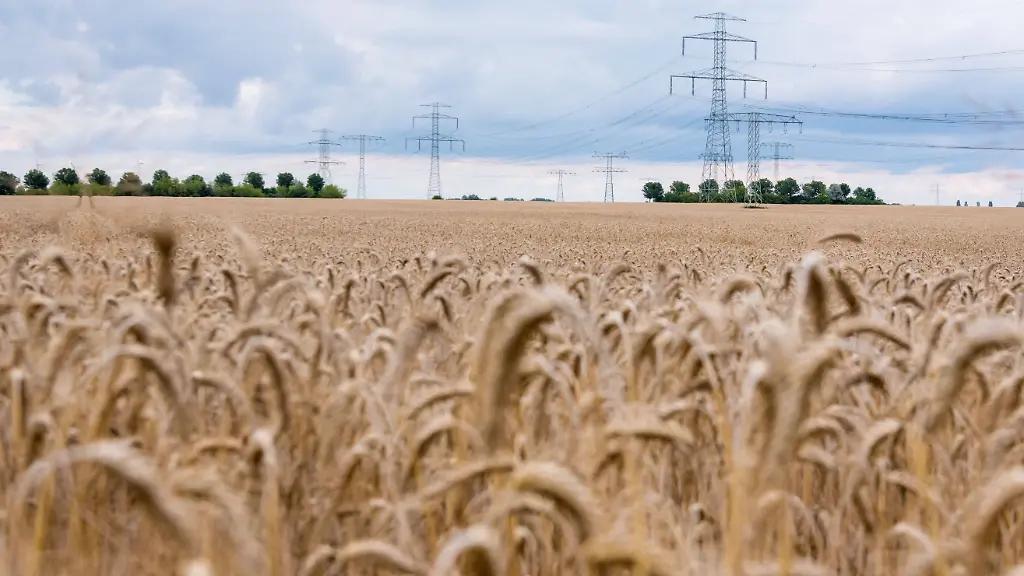 5a1b4a649bd29c10b2281b4731444ead