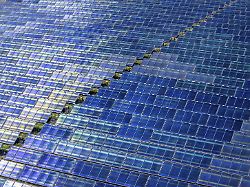 50 Hertz für fünf Jahre Geduld: "Der Solarzubau benötigt kei