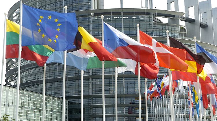 
Die Flaggen der 25 EU-Mitgliedsländer vor dem Europa-Parlament in Straßburg.