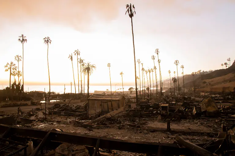 Aftermath-Of-Los-Angeles-Wildfires-January-10-Burned-palm-trees-and-debris-cover-the-area-in-Southern-California-on-January-10-2025-The-California-wildfires-have-collectively-scorched-nearly-38-000-acres-with-Governor-Gavin-Newsom-describing-them-as-among-the-most-severe-in-U-S-history-and-damages-projected-to-exceed-135-billion