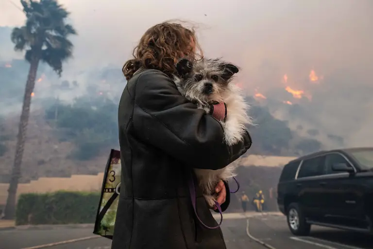 News-Bilder-des-Tages-Palisades-Fire-in-Pacific-Palisades-US-07-Jan-2025-A-Pacific-Palisades-resident-flees-with-her-dog-from-the-on-coming-Palisades-Fire-Palisades-Fire-burning-through-Pacific-Palisades-California-forcing-thousands-to-evacuate-Fueled-by-Santa-Ana-winds-the-fire-currently-sits-at-1-260-acres-and-remains-0-contained