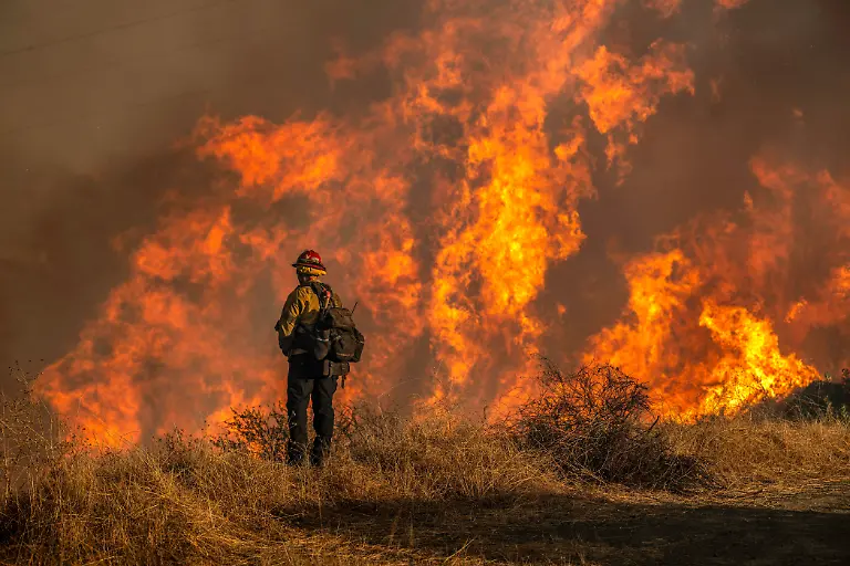 January-11-2025-Los-Angeles-California-USA-Firefighter-near-a-fire-road-above-Mandeville-Canyon-during-the-Palisades-Fire