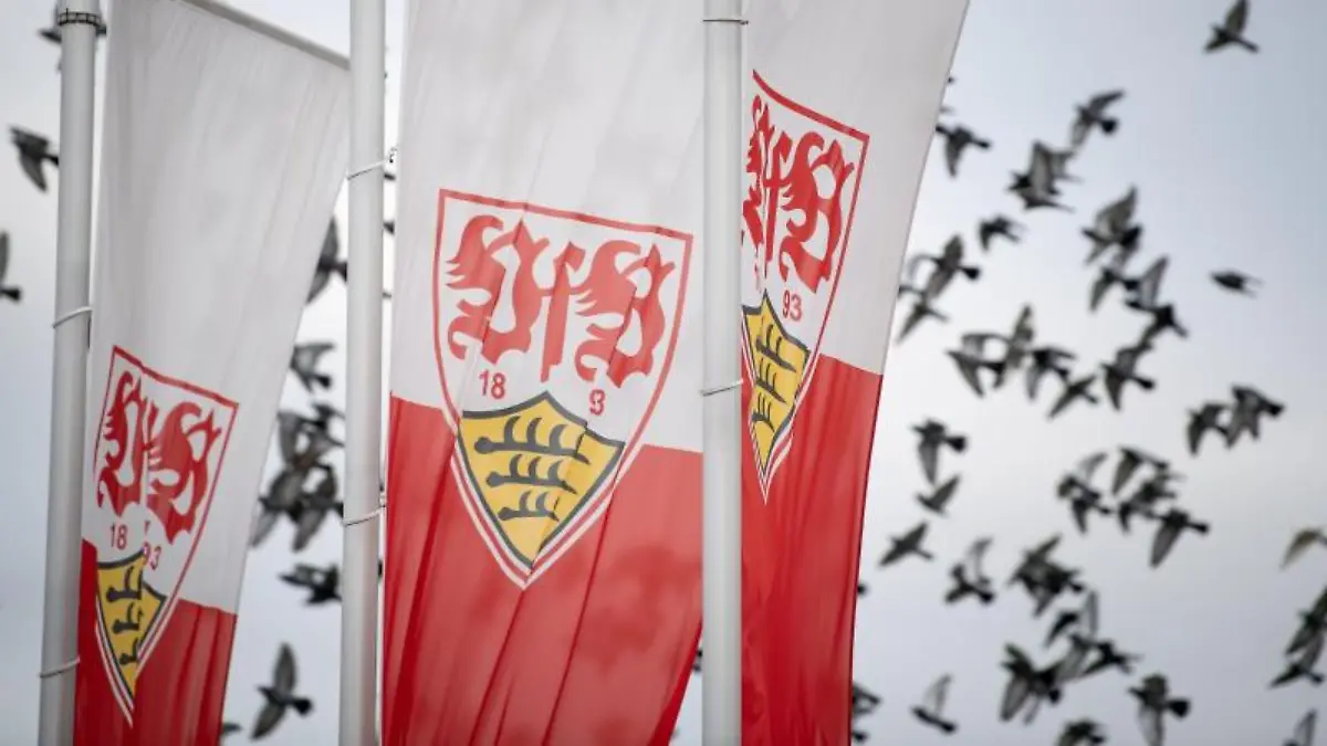 Flaggen-mit-dem-Logo-des-VfB-Stuttgart-wehen-auf-dem-Trainingsgelaende