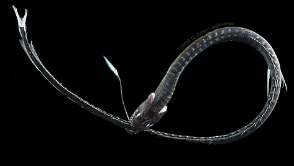 ACHTUNG-Frei-nur-zur-redaktionellen-Verwendung-im-Zusammenhang-mit-der-Berichterstattung-ueber-die-Studie