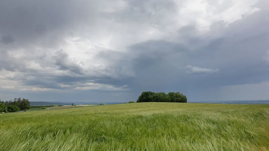 Die-Prognose-klingt-wenig-sommerlich-Fuer-die-naechsten-Tage-sind-im-Suedwesten-Regen-und-Wolken-angesagt