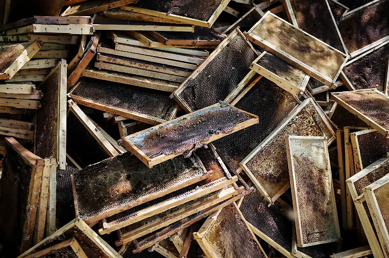 Discarded-old-honeycomb-frames-at-Park-Gyeong-je-s-beekeeping-farm-in-Sancheong-South-Korea-April-24-2026-Park-runs-a-beekeeping-farm-in-South-Korea-s-southern-Sancheong-county-but-he-is-a-migratory-beekeeper-meaning-he-criss-crosses-the-country-with-his-hives-to-chase-seasonal-flower-blooms-However-rising-temperatures-due-to-climate-change-are-shortening-seasons-causing-flowers-to-bloom-earlier-and-for-shorter-periods-The-weather-changes-have-also-brought-strong-winds-which-can-make-it-harder-for-bees-to-find-their-way-back-to-their-hives-REUTERS-Kim-Hong-Ji-SEARCH-HONG-JI-SOUTH-KOREA-BEES-FOR-THIS-STORY-SEARCH-WIDER-IMAGE-FOR-ALL-STORIES