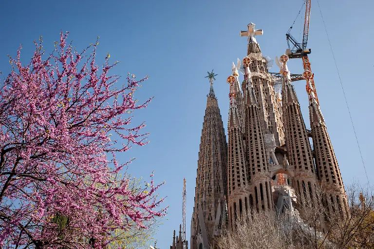March-23-2026-Barcelona-Spain-The-Passion-Facade-of-Barcelona-s-Sagrada-Familia-soars-crowned-by-the-Cross-of-the-Tower-of-Jesus-Christ-and-surrounded-by-blooming-spring-foliage-Basilica-construction-recently-reached-its-tallest-point-marking-the-centenary-of-the-death-of-Antoni-Gaudi
