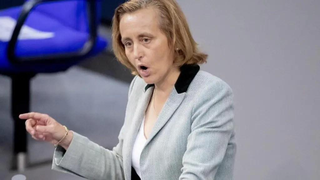 Beatrix-von-Storch-AfD-spricht-im-Bundestag