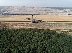 Einigung über dauerhaften Schutz: Hambacher Wald w
