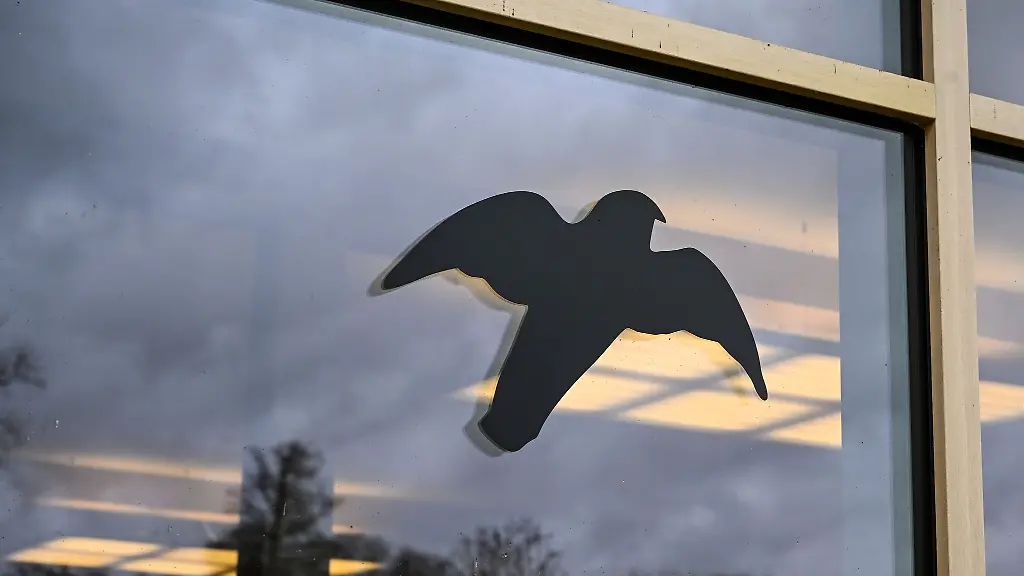Glasscheiben-stellen-fuer-Voegel-auch-in-Berlin-ein-grosses-Risiko-dar