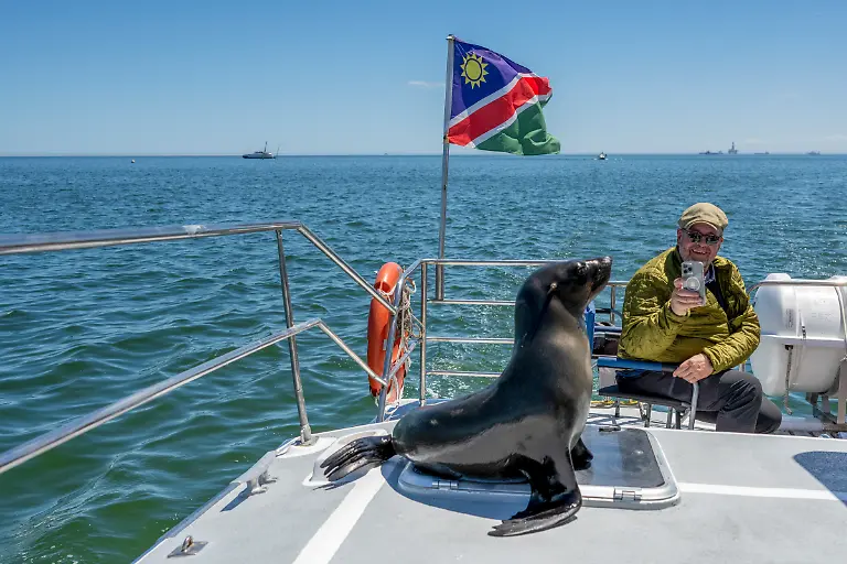 Neugieriger-Seeloewe-waehrend-eines-Deckbesuchs-an-Bord-des-Segelkatamarans-Silverskye-nahe-Walvis-Bay-Erongo-Namibia