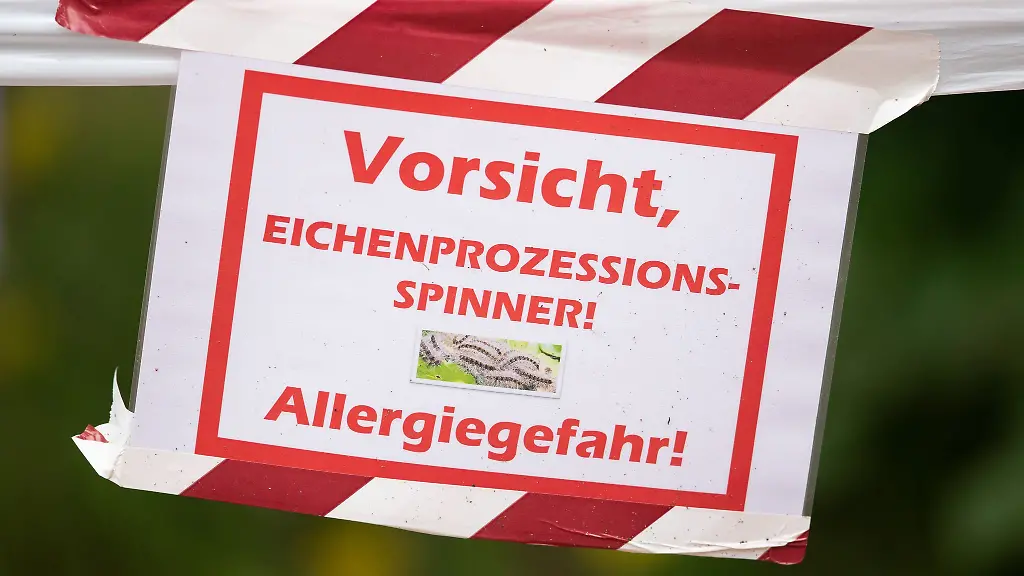 Die-Raupen-werden-auf-unterschiedliche-Art-bekaempft