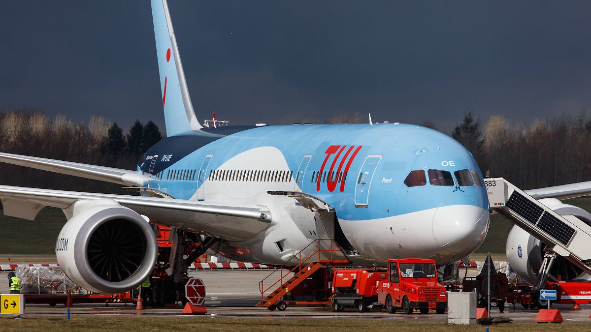 Maschine-bleibt-am-Boden-Schlange-legt-Flugzeug-tagelang-lahm