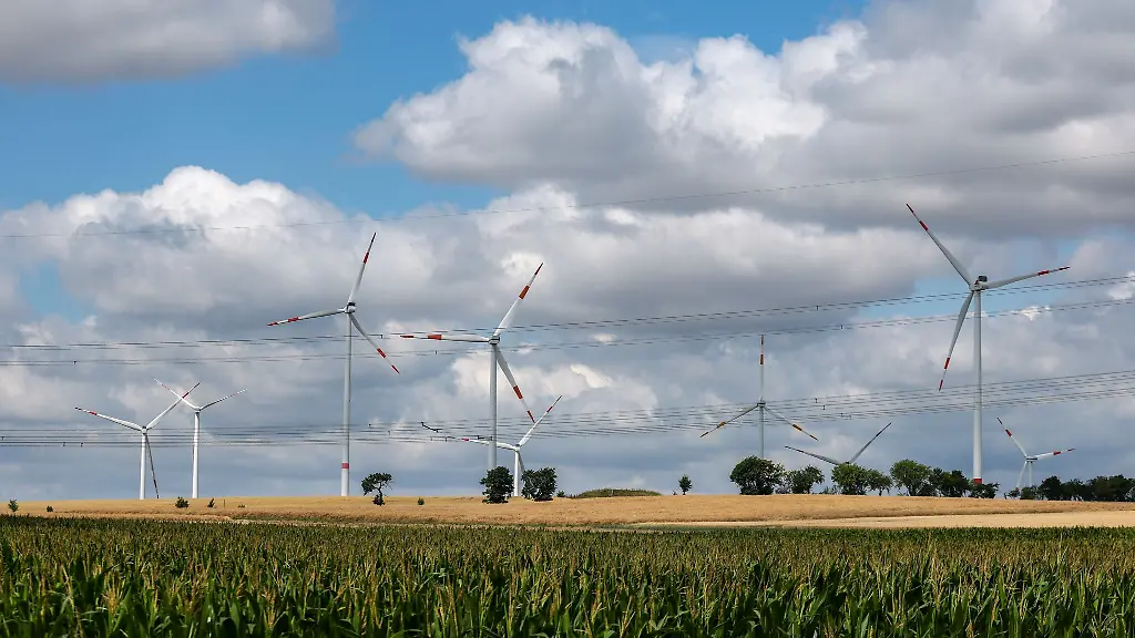 Sachsen-will-den-Ausbau-der-Windenergie-beschleunigen-und-deutlich-mehr-Flaechen-fuer-Windkraft-ausweisen