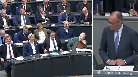 Friedrich Merz AfD
