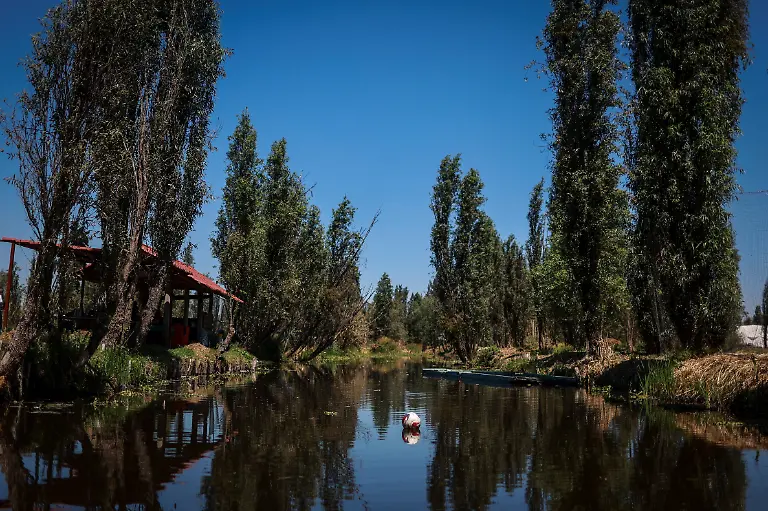 A-soccer-ball-floats-in-a-water-canal-in-the-protected-Xochimilco-area-in-southern-Mexico-City-Mexico-March-1-2026-The-UNESCO-World-Heritage-site-known-for-its-canals-and-chinampas-or-so-called-floating-gardens-remains-a-social-hub-where-residents-gather-for-weekend-football-matches-REUTERS-Raquel-Cunha-SEARCH-CUNHA-MEXICO-SOCCER-FOR-THIS-STORY-SEARCH-WIDER-IMAGE-FOR-ALL-STORIES