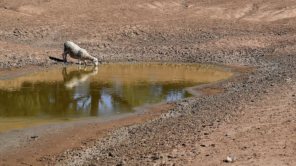 Die-NOAA-hat-den-Beginn-von-El-Nino-verkuendet