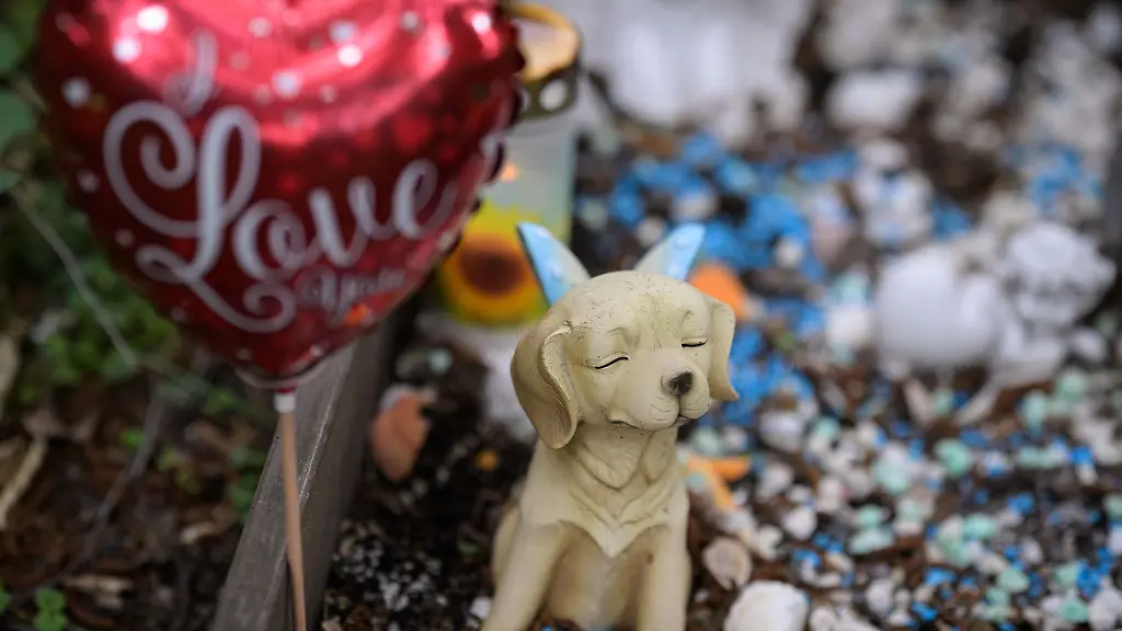 Auf-dem-Tierfriedhof-in-Frankfurt-finden-Hunderte-Tiere-ihre-letzte-Ruhe