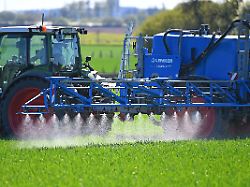 Frühere Vorschüsse möglich: EU plant Milliardenhilfen für Landwirte wegen hoher Düngerkosten