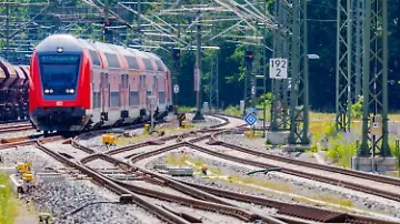 600304019