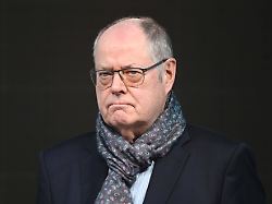 Regt neue Strategie an: Steinbrück lehnt Verbotsverfahren gegen die AfD ab