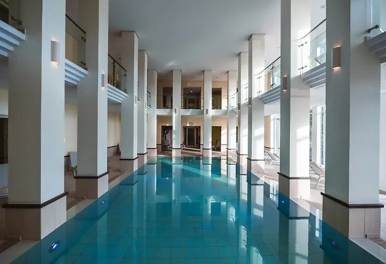 Wellness