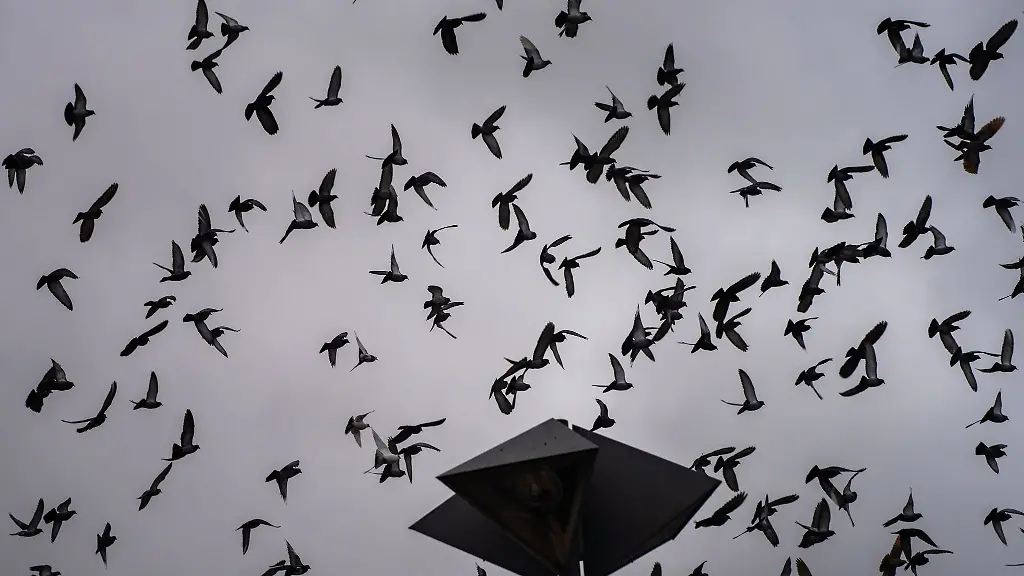 Wechselnd-bewoelkt-und-immer-wieder-nass-zeigt-sich-das-Wetter-in-Hessen-am-Montag
