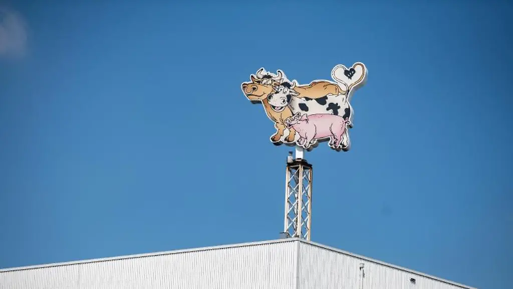 Auf-dem-Dach-des-Werksgelaendes-steht-das-Logo-der-Firma-Toennies-in-Form-von-zwei-Kuehen-und-einem-Schwein