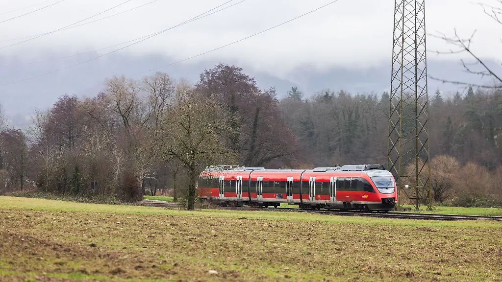 Der-Mann-attackierte-mutmasslich-den-Lokfuehrer-einer-Regionalbahn