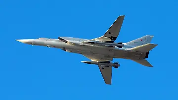 86500539