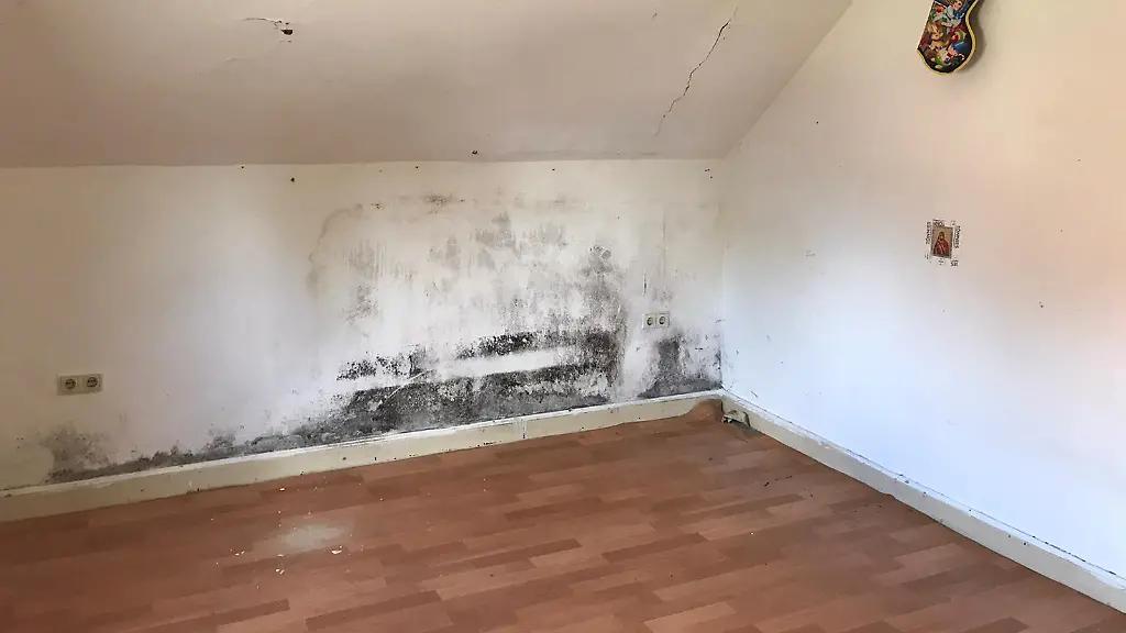 af4bcce1-e035-472a-807e-6ded8e0ccfa3