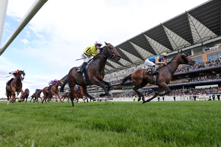 16-06-2026-Ascot-Windsor-GBR-Map-of-Stars-with-James-McDonald-up-wins-the-Wolferton-Stakes-Ascot-racecourse-Pferd-Jockey-Map-of-Stars-McDonald-Sieg-Ziel-Zielankunft-260616D582ROYAL-ASCOT